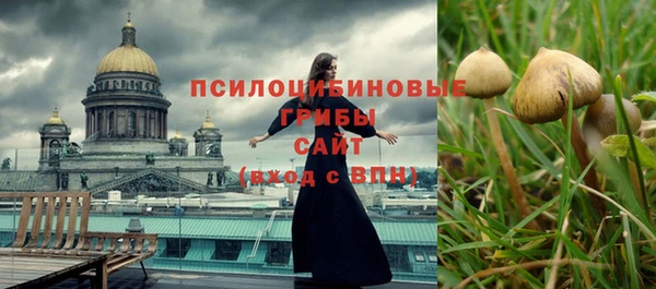 а пвп мука Алзамай