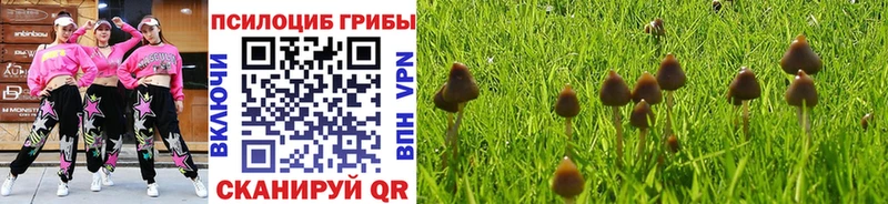 mega ссылки Лесной Псилоцибиновые грибы прущие грибы