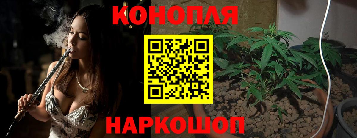 Конопля планчик  Канабис THC 21%  Вход с VPN  Лесной  Конопля VHQ 
